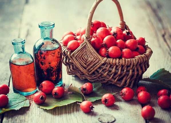 Hawthorn -Früchte, um ein Mitglied zu erhöhen