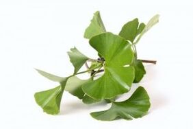 Ginkgo biloba zur Penisvergrößerung.